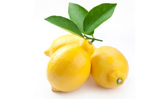 Eldeniz Citrus