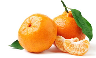 Eldeniz citrus